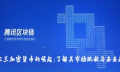 爱尔兰加密货币的崛起：了解其市场现状与未来