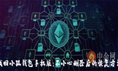  找回小狐钱包手机版：不小心删除后的恢复方法