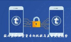 国内虚拟加密货币的现状与未来发展趋势
