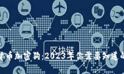 数字货币加密狗：2023年你需要知道的一切