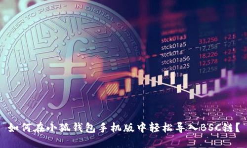 如何在小狐钱包手机版中轻松导入BSC链？