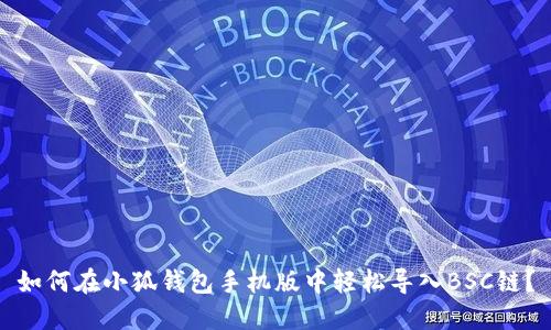 如何在小狐钱包手机版中轻松导入BSC链？