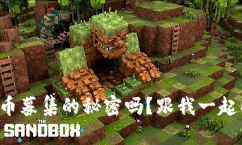 想了解加密货币募集的秘密吗？跟我一起揭开它的面纱！