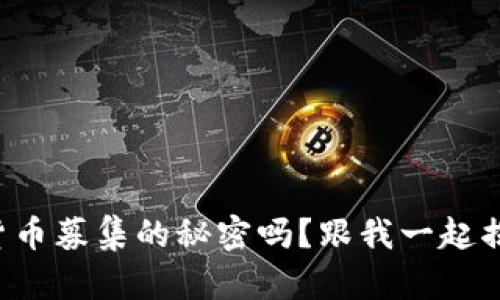 想了解加密货币募集的秘密吗？跟我一起揭开它的面纱！