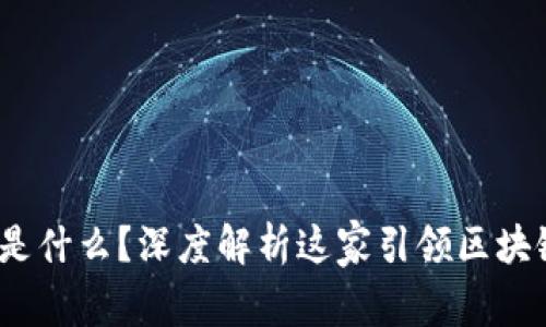 MetaMask 是什么？深度解析这家引领区块链潮流的公司