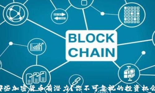 
哪些加密货币有潜力？你不可忽视的投资机会！