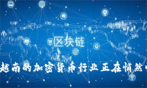 你知道越南的加密货币行业正在悄然崛起吗？
