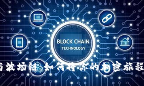 Metamask与波场链：如何将你的加密旅程推向新高度？