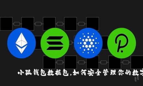 лучше小狐钱包数据包，如何安全管理你的数字资产？