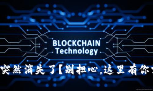 小狐钱包里的币突然消失了？别担心，这里有你需要知道的一切！