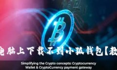 为什么我的电脑上下载不