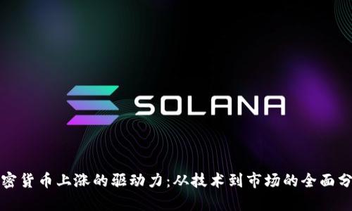 加密货币上涨的驱动力：从技术到市场的全面分析