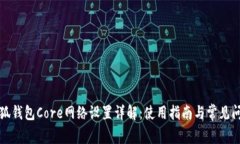 小狐钱包Core网络设置详解