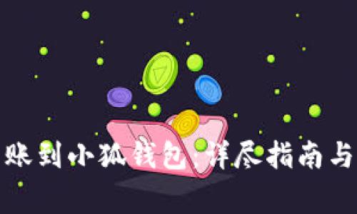 如何将资金转账到小狐钱包：详尽指南与常见问题解答