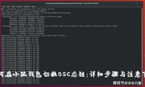 如何在小狐钱包切换BSC态链：详细步骤与注意事项