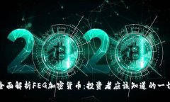 全面解析FEG加密货币：投