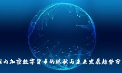 国内加密数字货币的现状