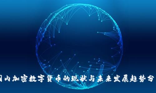 国内加密数字货币的现状与未来发展趋势分析